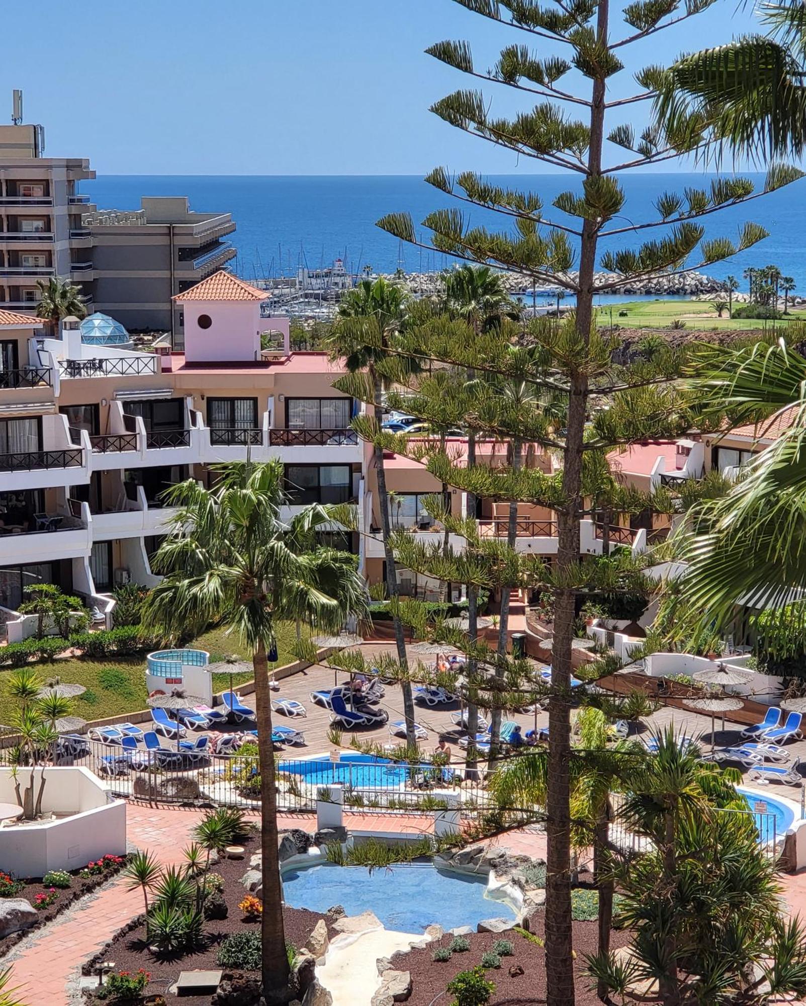 Lovely Apartment Top Views, Heated Pool, Great Location San Miguel de Abona Ngoại thất bức ảnh