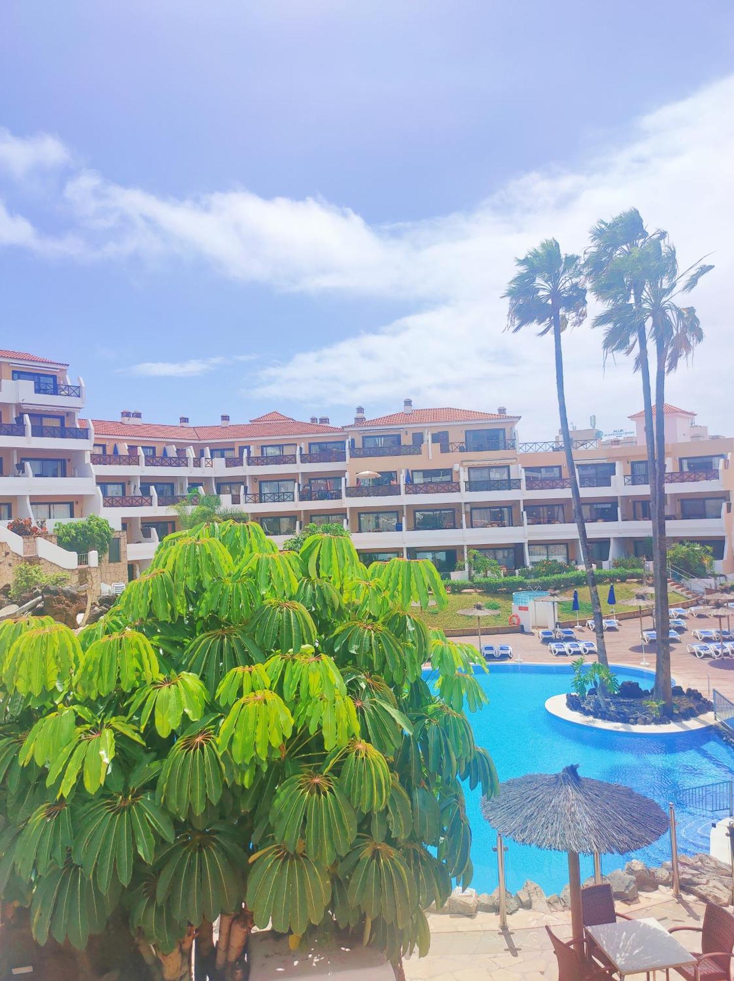 Lovely Apartment Top Views, Heated Pool, Great Location San Miguel de Abona Ngoại thất bức ảnh