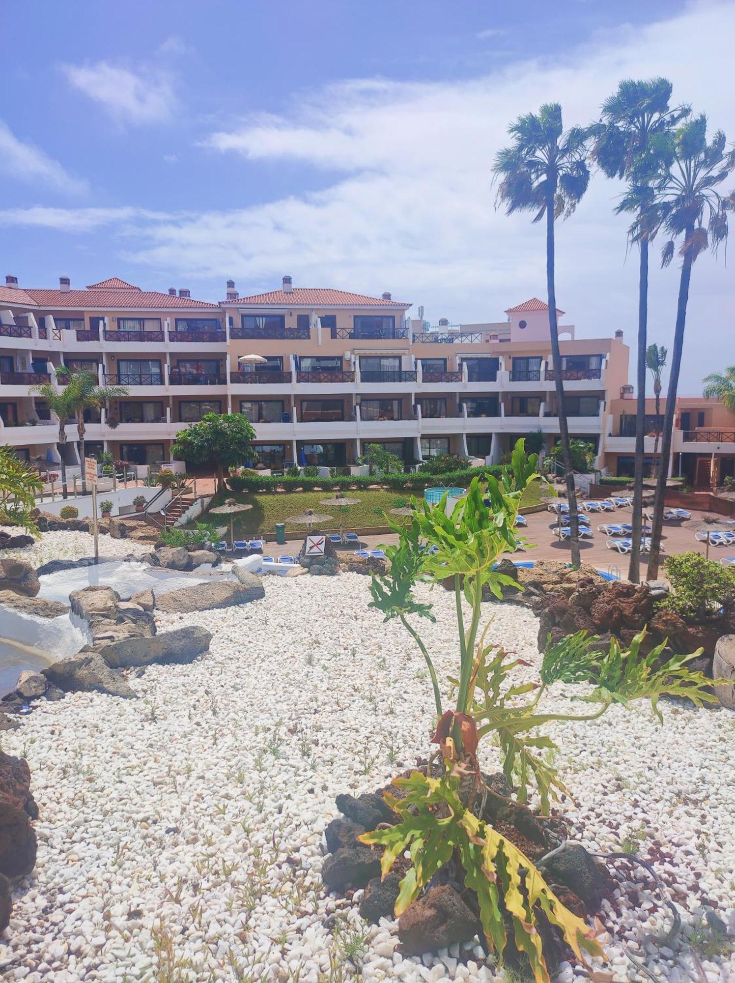 Lovely Apartment Top Views, Heated Pool, Great Location San Miguel de Abona Ngoại thất bức ảnh